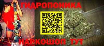 ALPHA PVP Новозыбков
