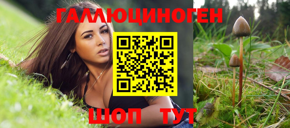 Галлюциногенные грибы Magic Shrooms Астрахань
