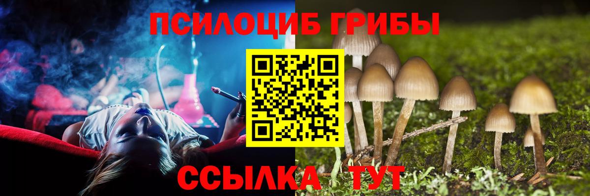 Астрахань  Псилоцибиновые грибы Magic Shrooms  Вход с VPN 